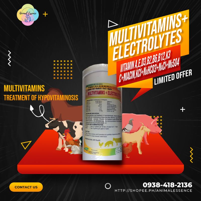 Multivitamins with Electrolytes Shopee Philippines