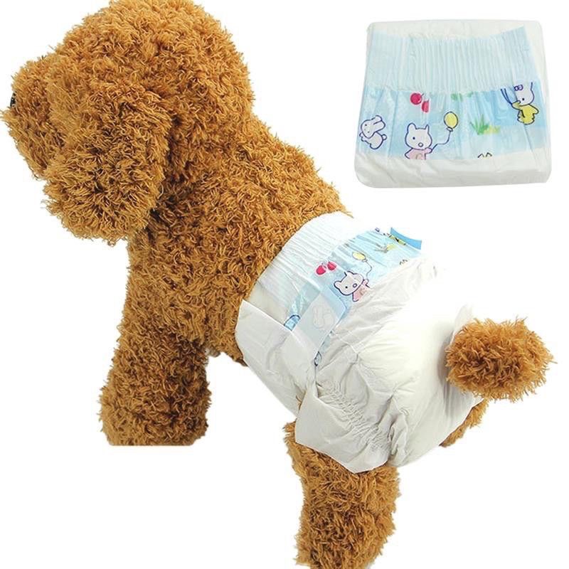 Diaper of outlet dog