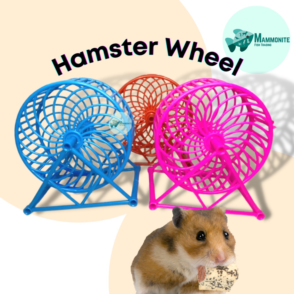 Pet Hamster Colorful Hamster Wheel Plastic Ordinary Spinning Toy ...