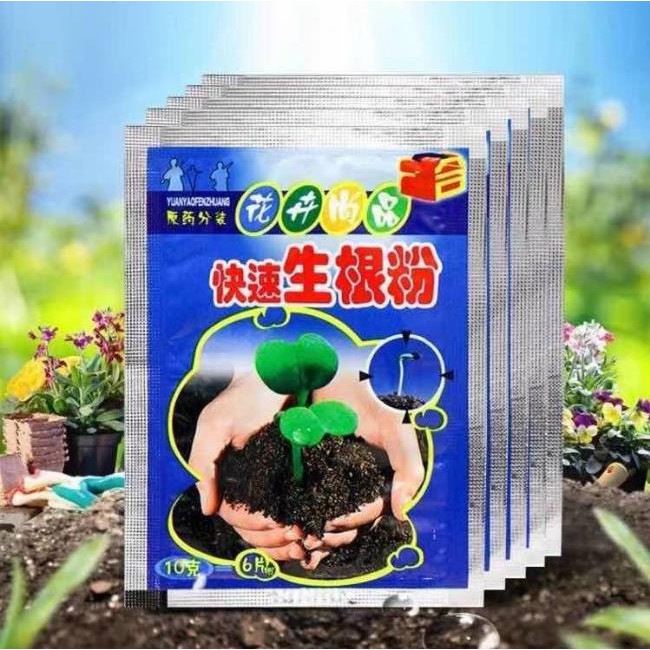 Quality No.1-Fast Shipping [Yumall] 5cm Transparent plant high pressure ...
