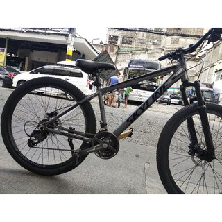 Skyline best sale roller 27.5