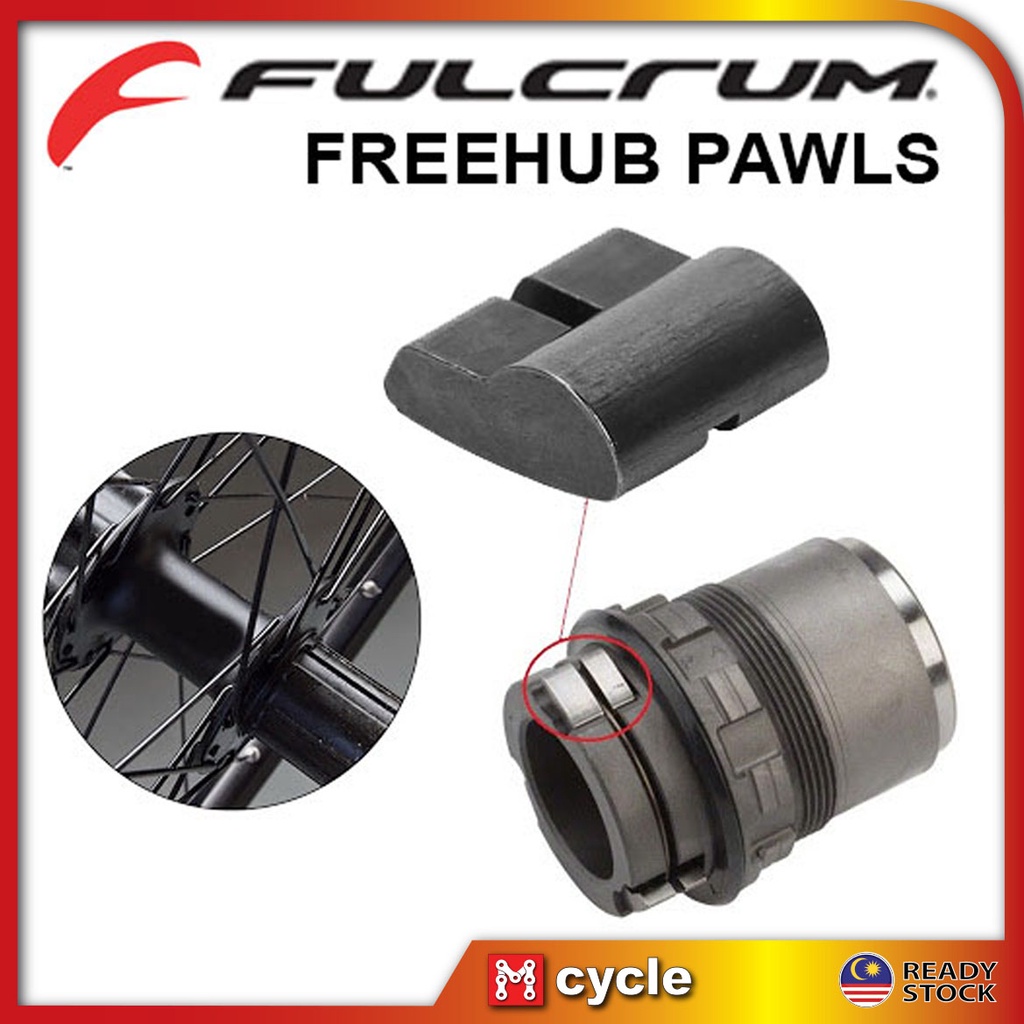 Fulcrum Campagnolo Freehub Cassette Hub Body Pawl Spring Replacement Unit Spring Ratchet