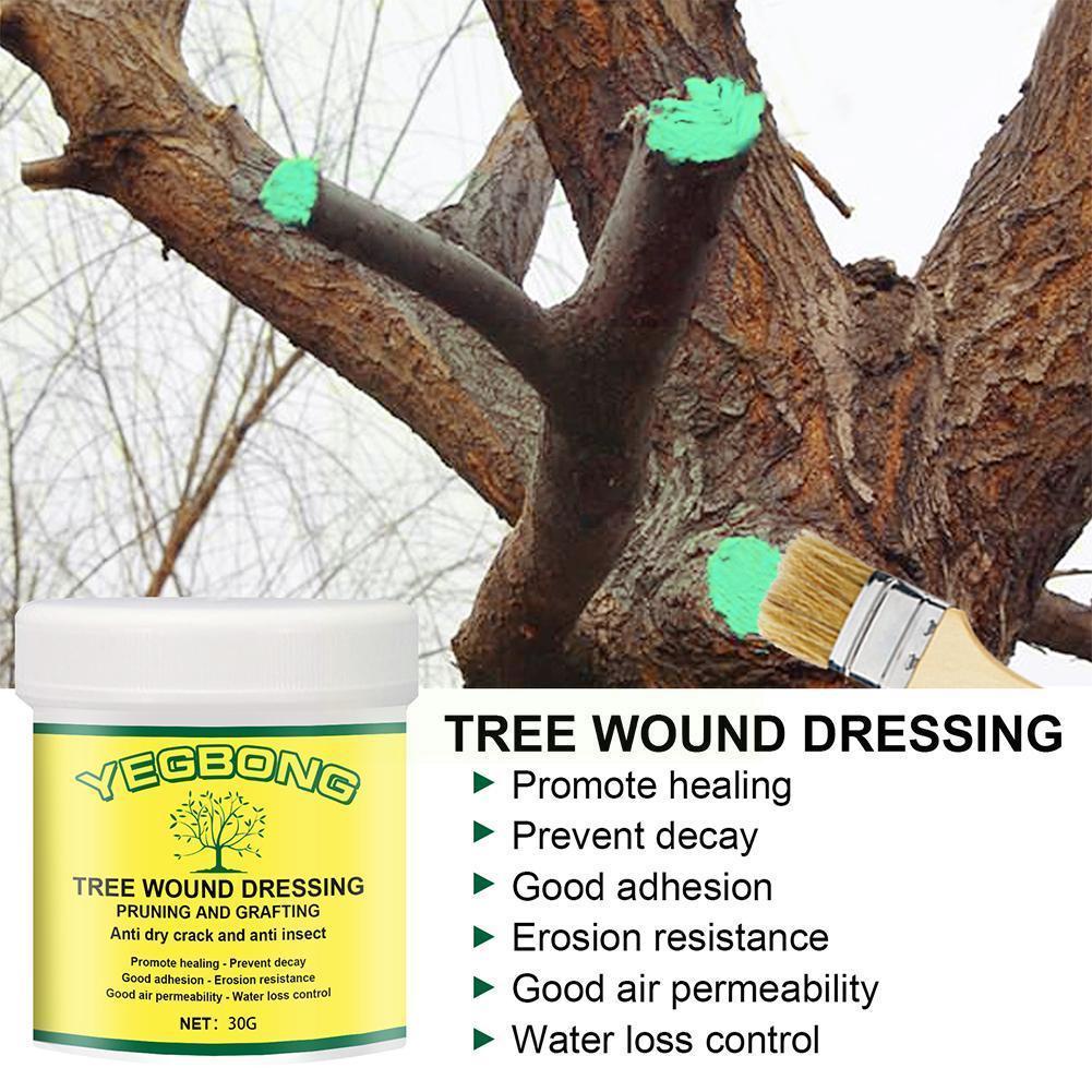 Tree Wound Sealer 30 100g Tree Pruning Sealer Tree Wound Seal Graft   122e10dbf9cb11984cb898386b356d0f