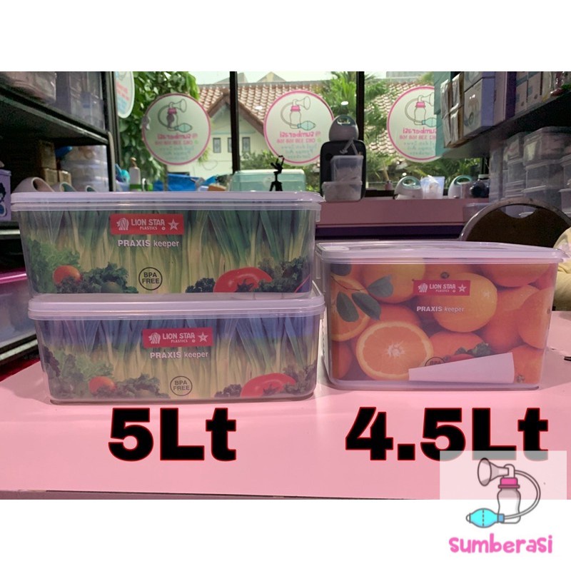 Lion star 4.5lt 5 Liter Breast Pump Container Box | Shopee Philippines