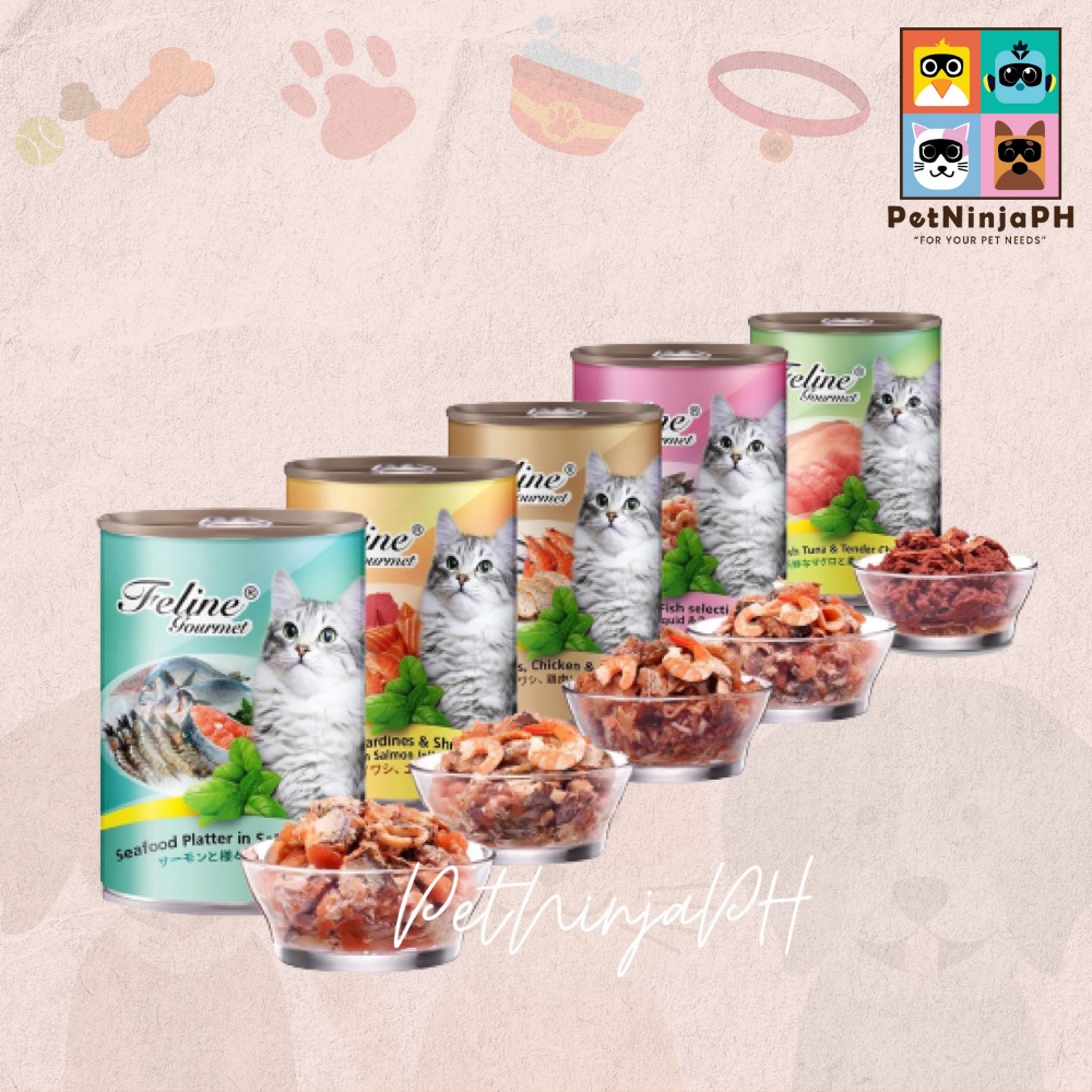 Feline Gourmet Wet Cat Food Pet Plus 400g Shopee Philippines