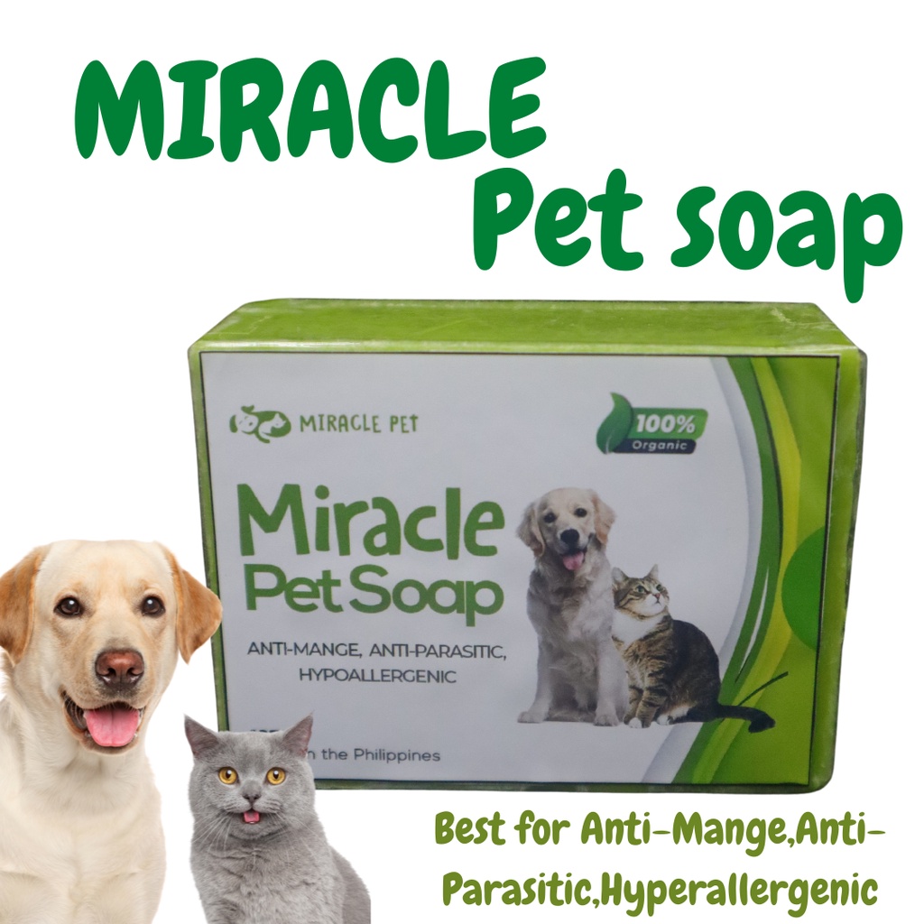 Herbal soap outlet for dogs