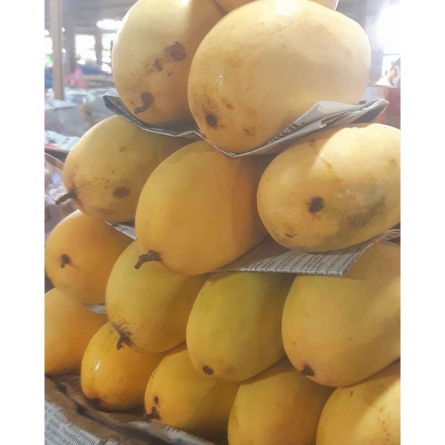 Shop fresh mango for Sale on Shopee Philippines