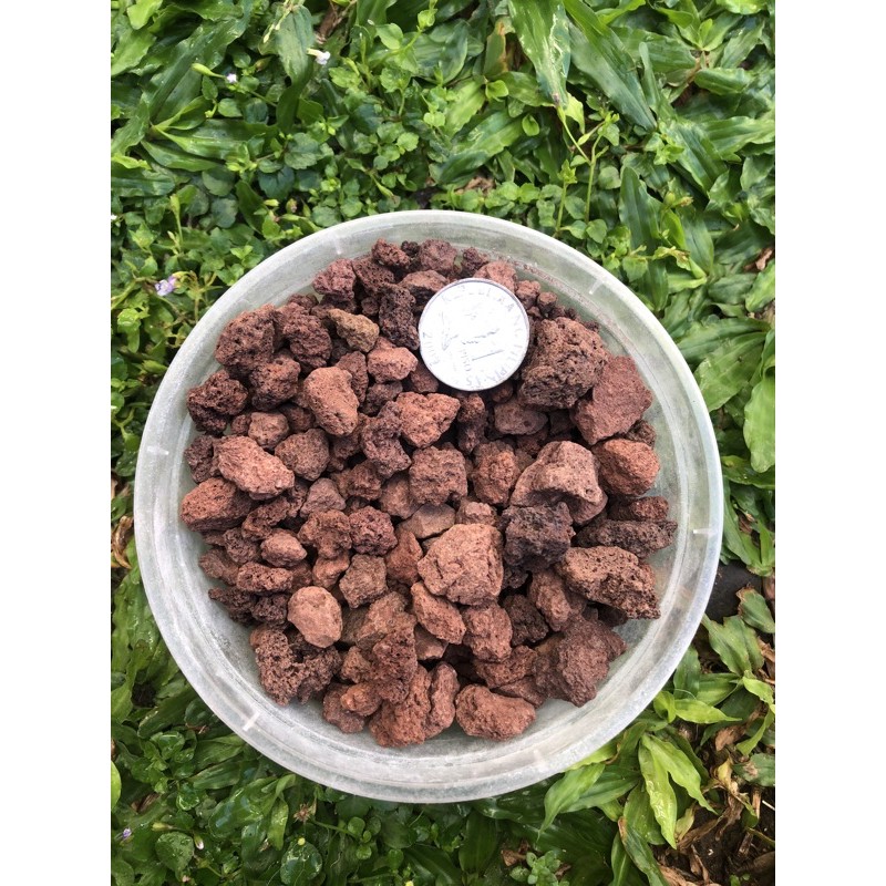 Lava Rocks for Aquarium | Shopee Philippines