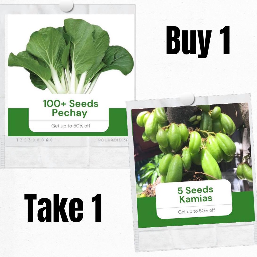 Sale Buy 1 Take 1 Seeds Pechay 100 Seeds and Kamias 5 Seeds Outdoor ...