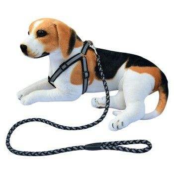 Body shop leash dog