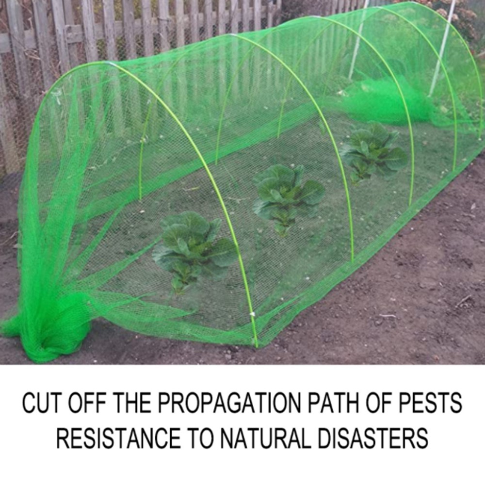 Green Insect Protection Net Bug Insect Bird Net Barrier Vegetables