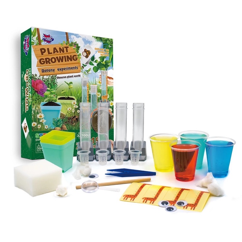 PLANT GROWING-Science Experiment Kit | Shopee Philippines