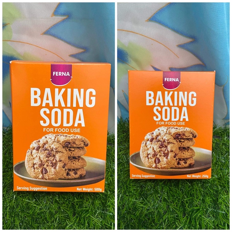 Ferna Baking Soda 500g, 250g | Shopee Philippines