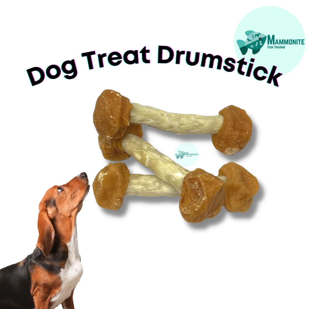 Pet Dog Dental Chew Treat Dumbbell Drumstick 1pc Dental Treat for Dogs