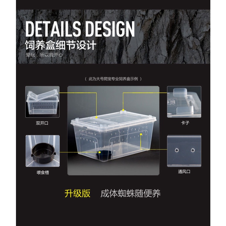 Reptile Enclosure/ Cage/Climbing Pet Breeding Box Shelter Insects Horn ...