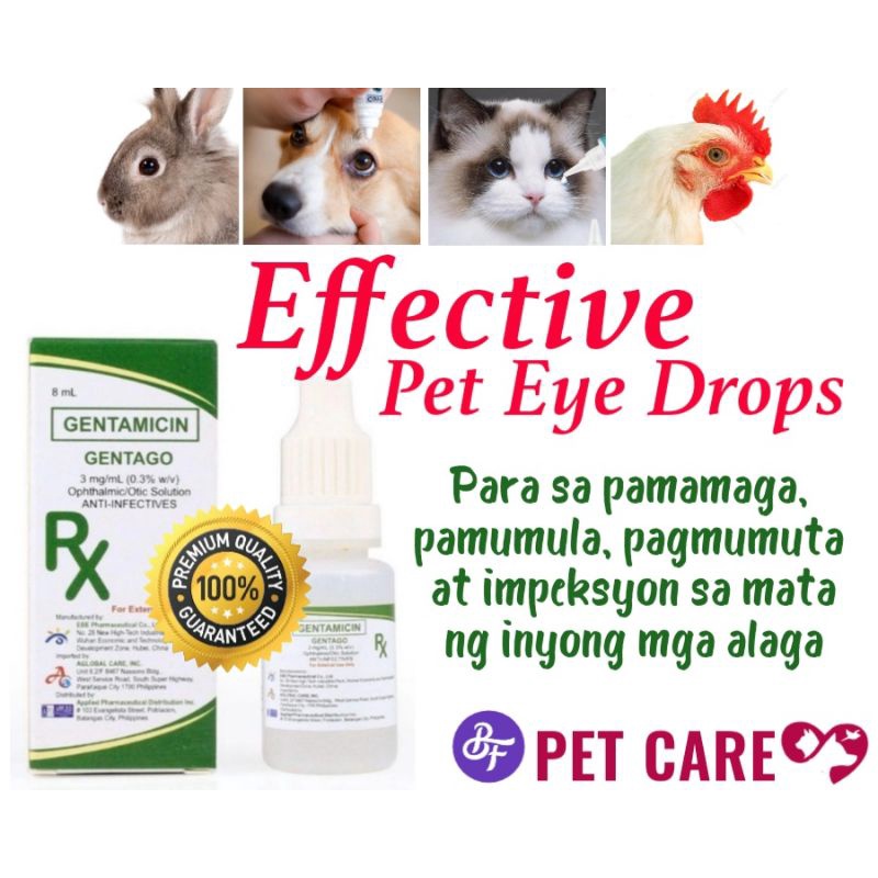 GENTA CARE Drops Gentamicin Eye / Ear Solution treatment for dogs, cats