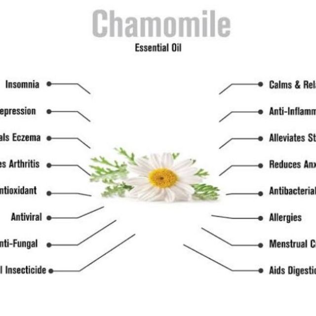 Chamomile essential deals oil benefits