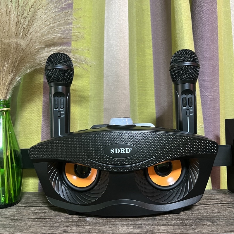 SDRD Karaoke SD 306. Shopee Philippines