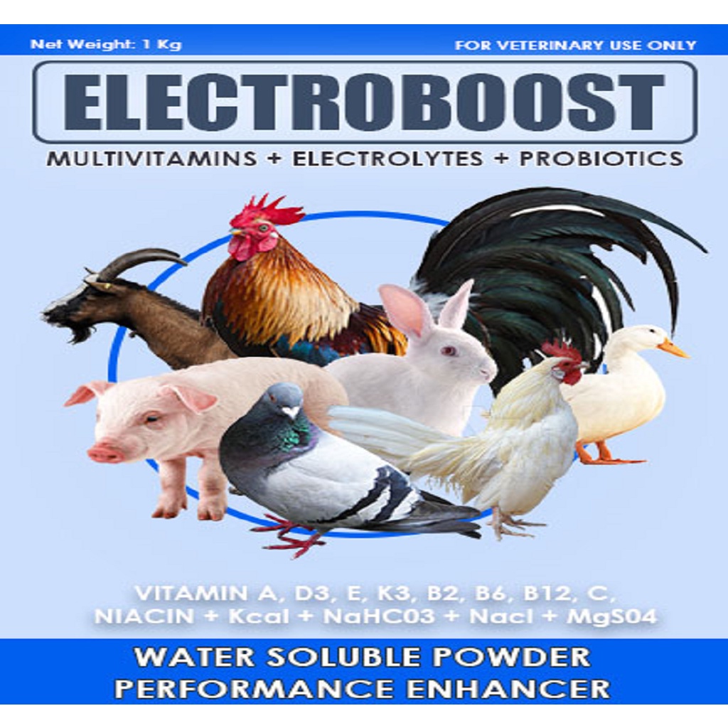 ELECTROBOOST Multivitamins+Electrolytes+Probiotic Shopee Philippines