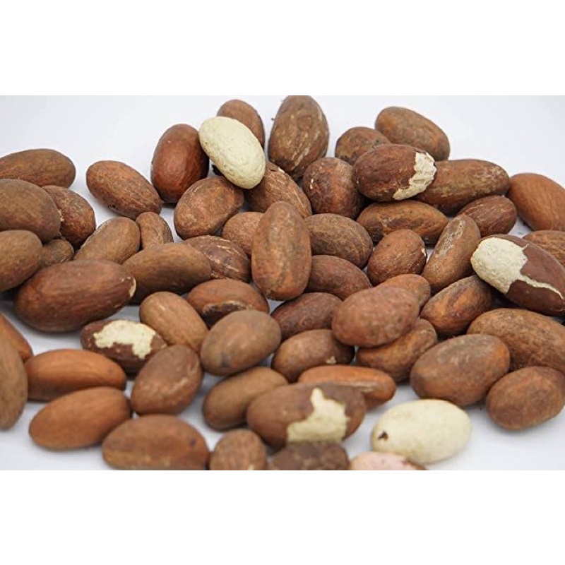 Kola Nuts bitter kola African Nuts 1 PCS | Shopee Philippines