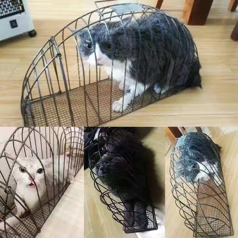 Mabilis na delivery Cat Shower Cage Pet Cage Cat Bath Antigrab Dog