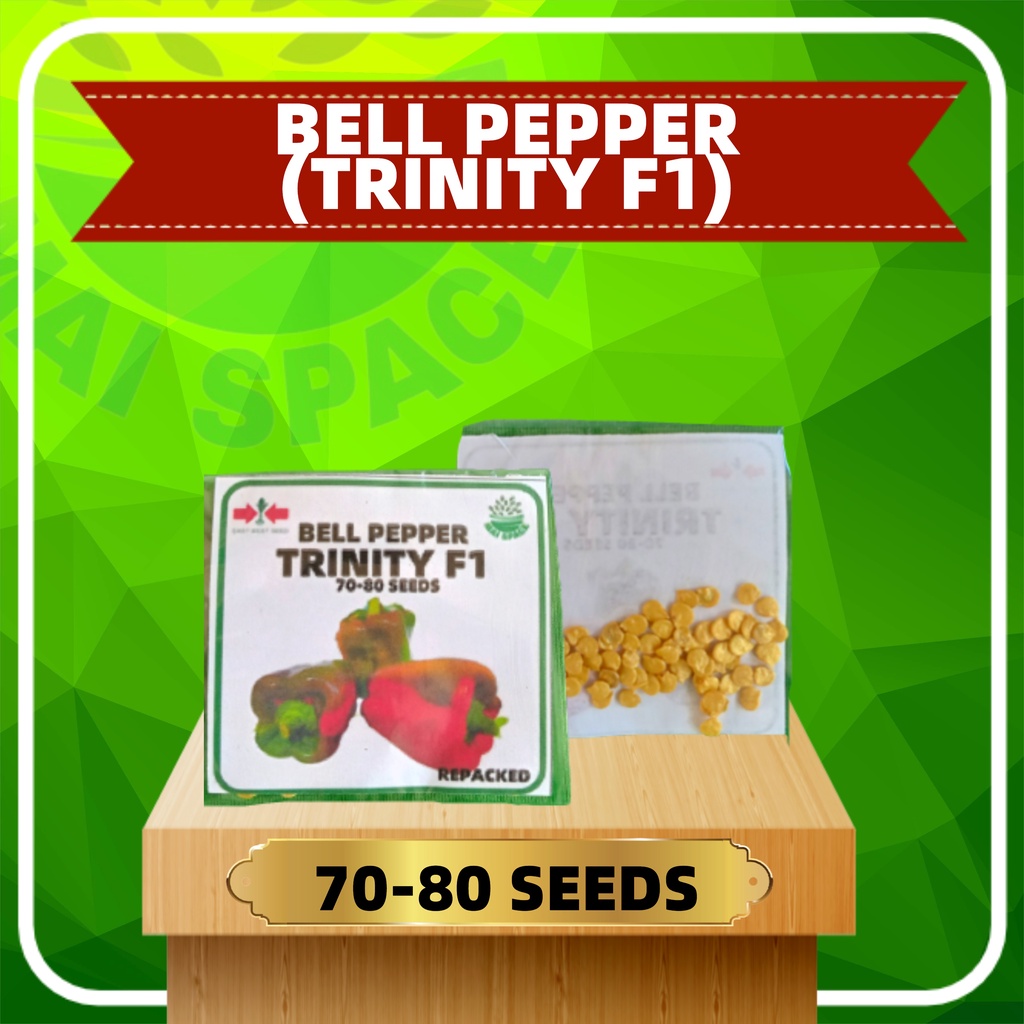 BELL PEPPER (TRINITY F1) SEEDS (REPACKED ) - 88% GERMINATION RATE (70 ...