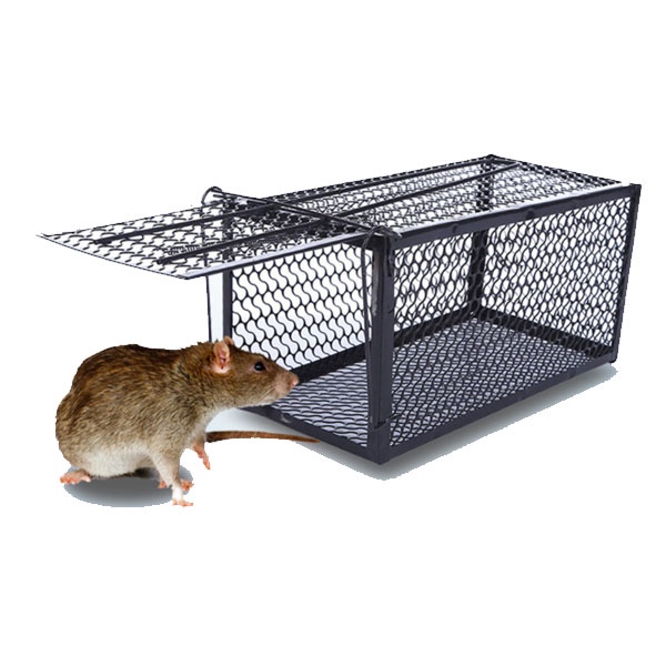 24CM Metal Rat Cage Reusable Mouse Trap Rodent Killer Mice Catcher ...