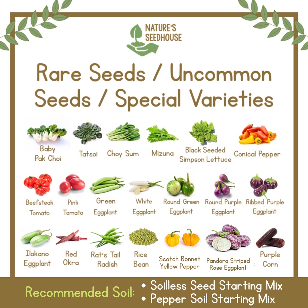 Rare Seeds Collection / Uncommon Seeds / Special Seed Varieties ...