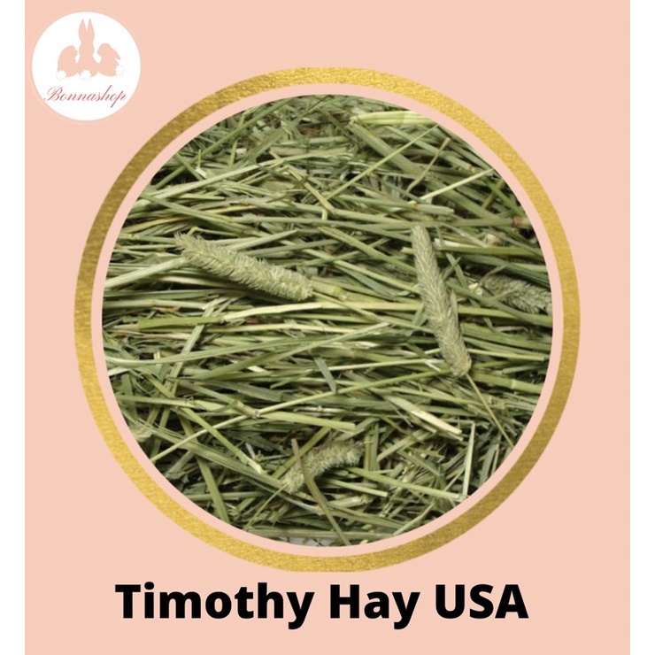 Timothy HAY best choice USA Rabbit Food first cut| Marble | Timothy ...