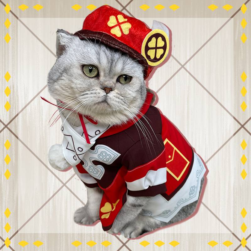 Genshin IMPACT COS Kolly pet clothes Cute cat Loli costume game Klee ...