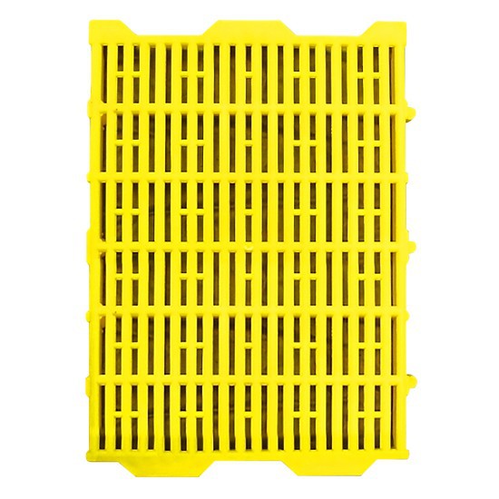 Plastic FLOOR SHEET 40x55 CATS NEW GENERATION 1.45KG Shopee Philippines