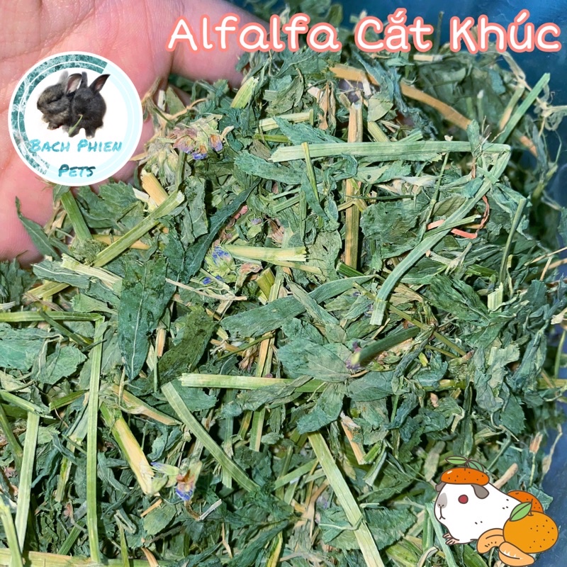 Alfalfa Dried Grass Cut 500gr, Food For Bugs, Rabbits, Rats