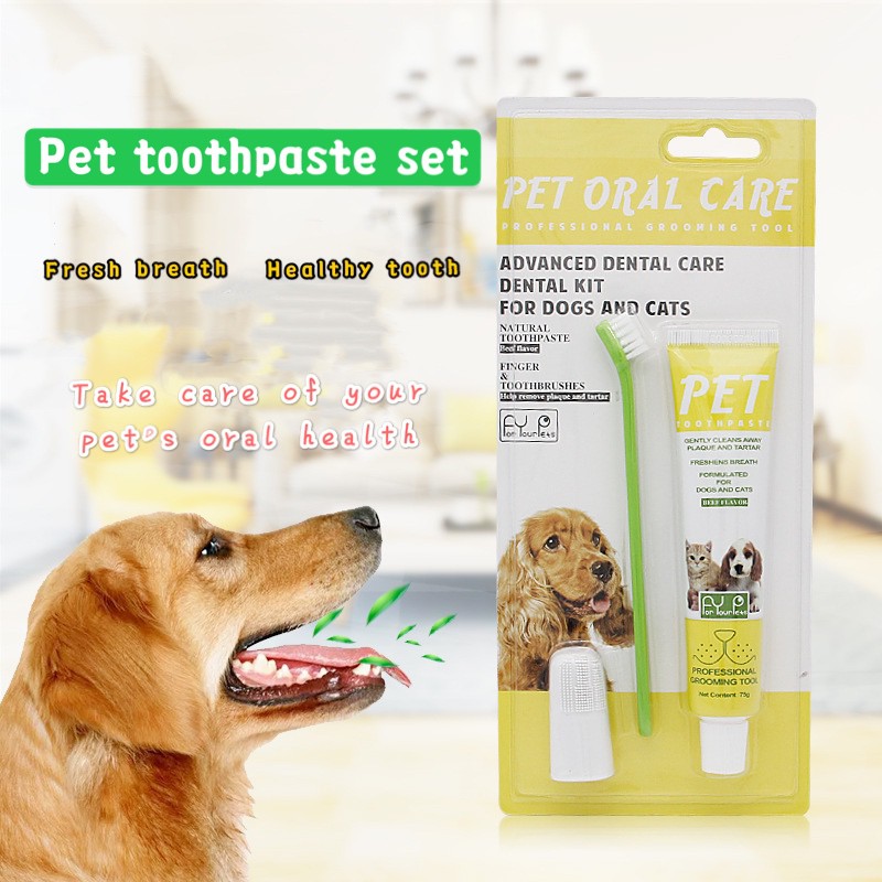 Dog best sale edible toothbrush