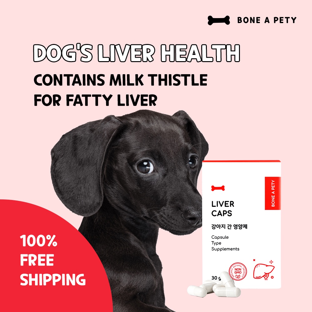 [BONEAPETYKOREA] LIVER CAPS Dog liver health, milk thistle, fatty