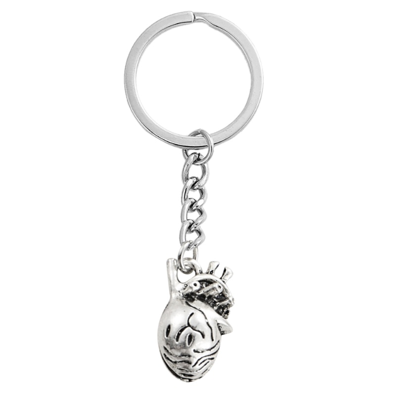 XY Human Brain Keychain 3D Organs Body Parts Keychain Psychology Brain ...