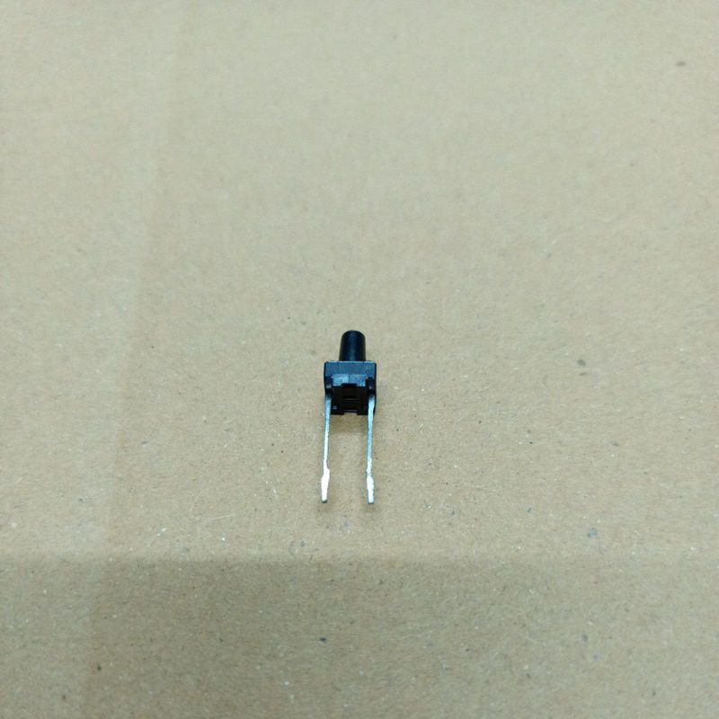 900290 SW 6 6 10mm 2 Legs Switch 25 Pieces | Shopee Philippines