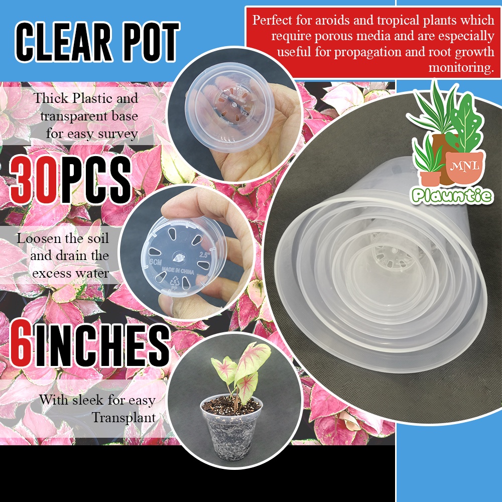 30pcs 15cm Clear Round Pots/ Transparent Best for Aroids and Orchid