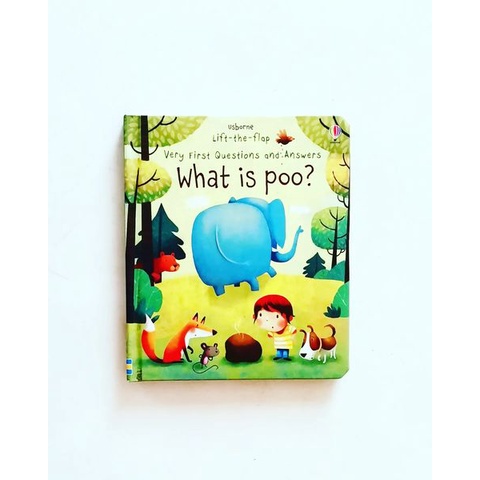 Usborne: What is Poo? (Lift-the-Flap Very First Questions & Answers ...