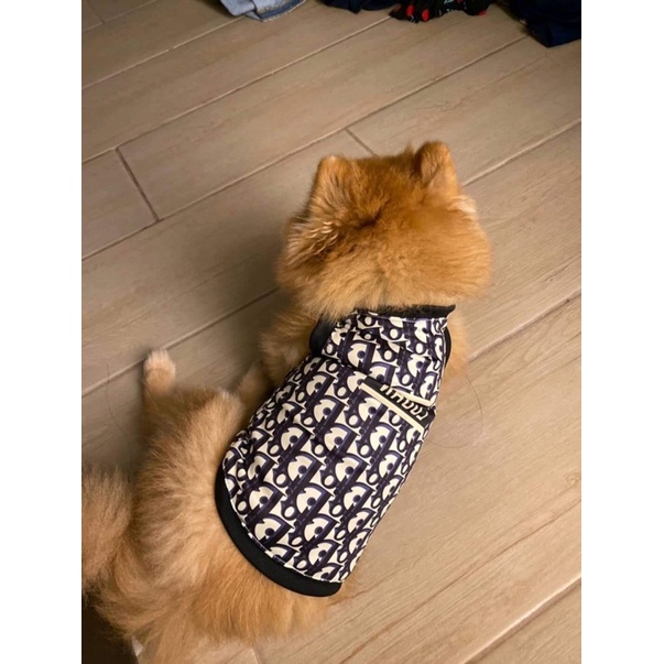 Personalized Luxury Pet Clothes (Dark Blue) Dog Clothes High Quality
