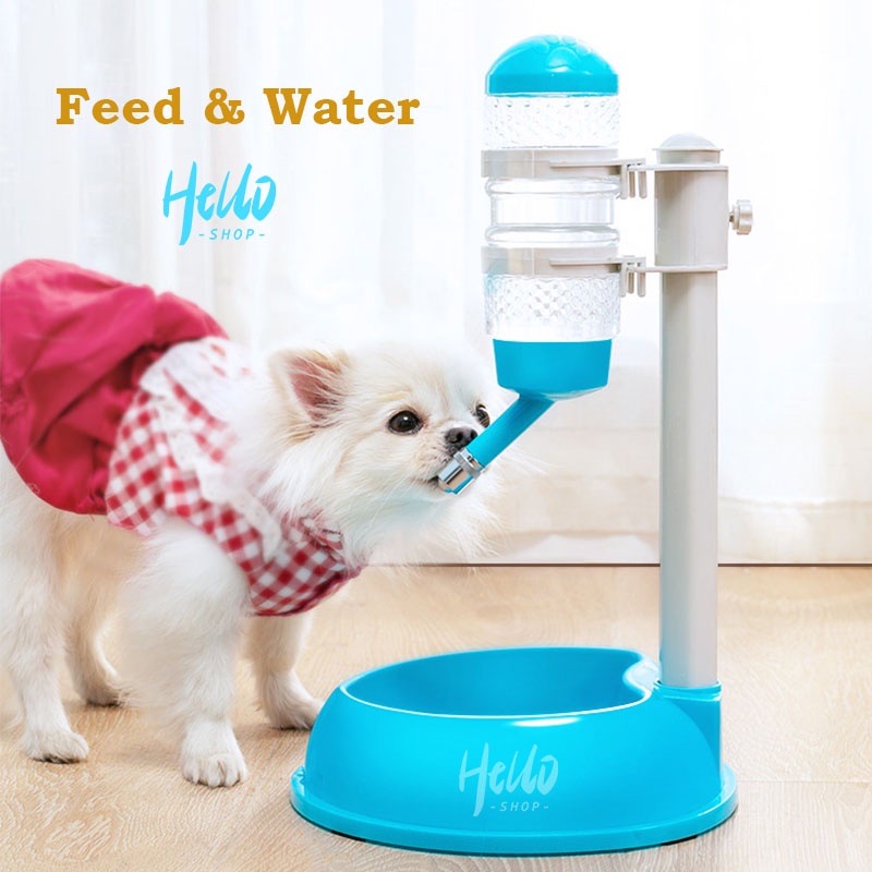 Water drinker hot sale for dogs