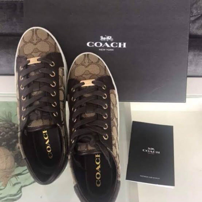 Coach best sale paddy sneakers