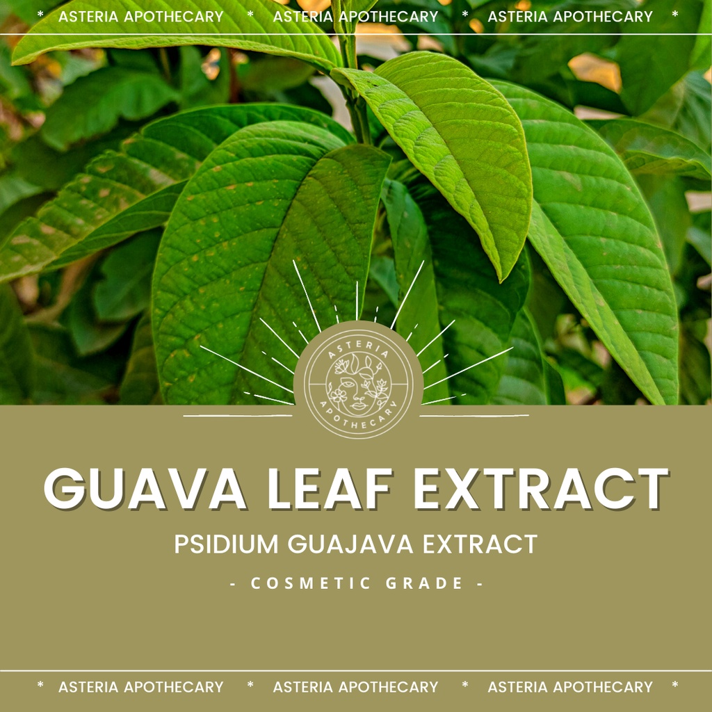 Guava Leaf Extract | Botanical Extract 30mL & 100mL - Asteria ...