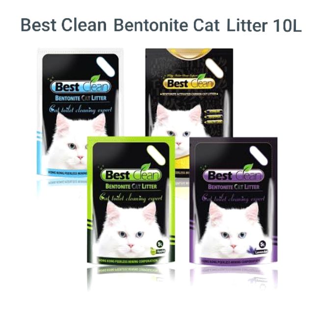 Best clean on sale cat litter