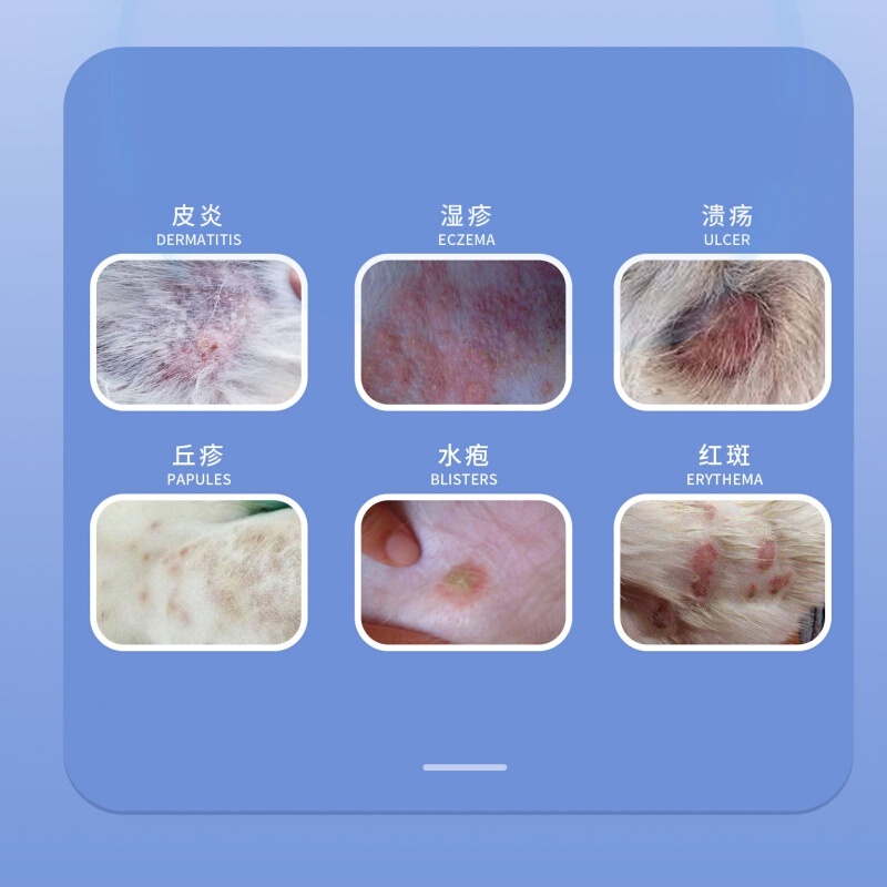 New Pet Zinc Oxide Ointment Dog Dermatitis Cat Ringworm Eczema External