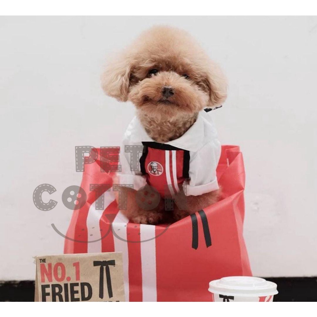 Kfc apron set FOR Dogs And Cats Cute model KFC Costume FOR Dogs Shopee Philippines