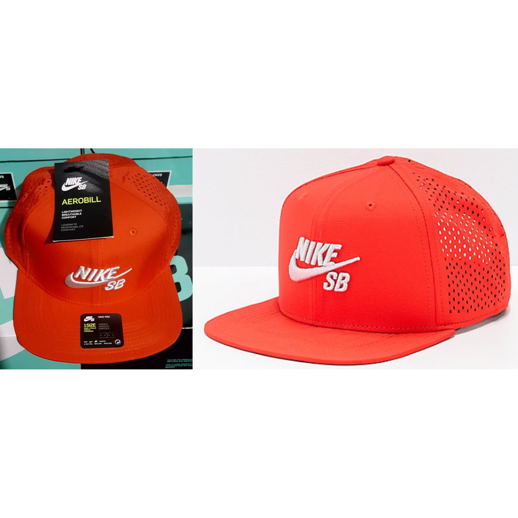 Nike sb performance trucker on sale hat