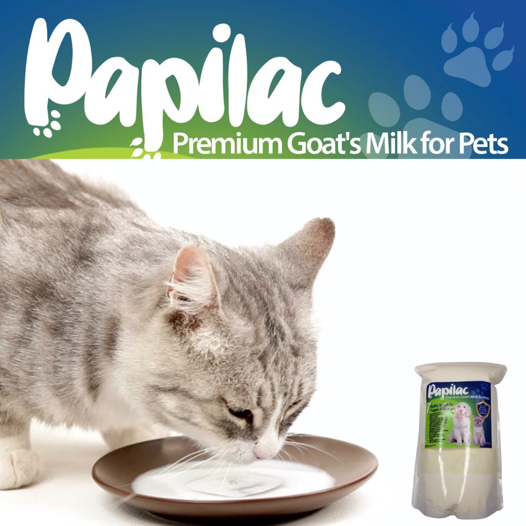 Papilac premium goats milk replacer for pets puppy kitten dog cats