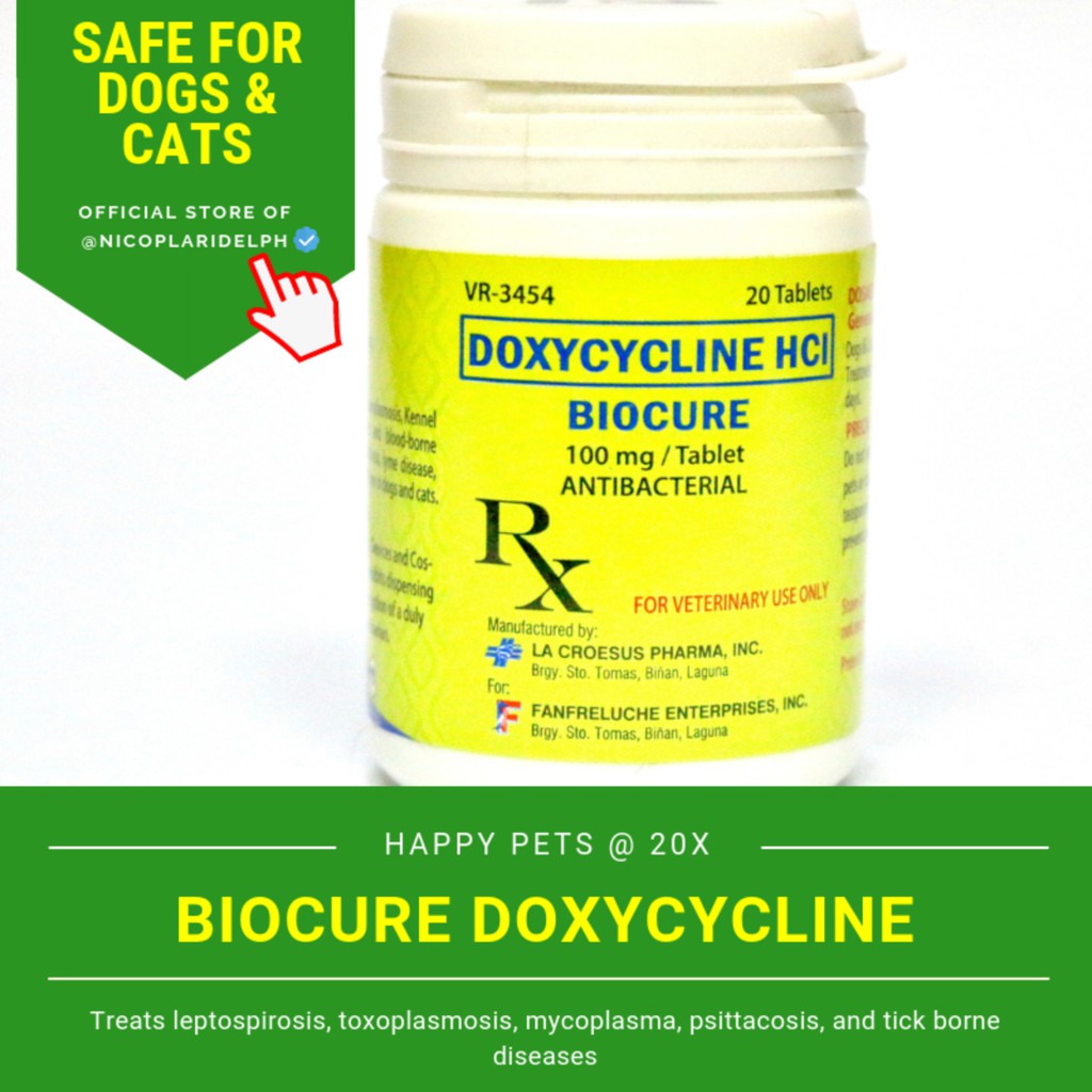 Biocure Doxy For Dogs And Cats 20 Tablets Shopee Philippines