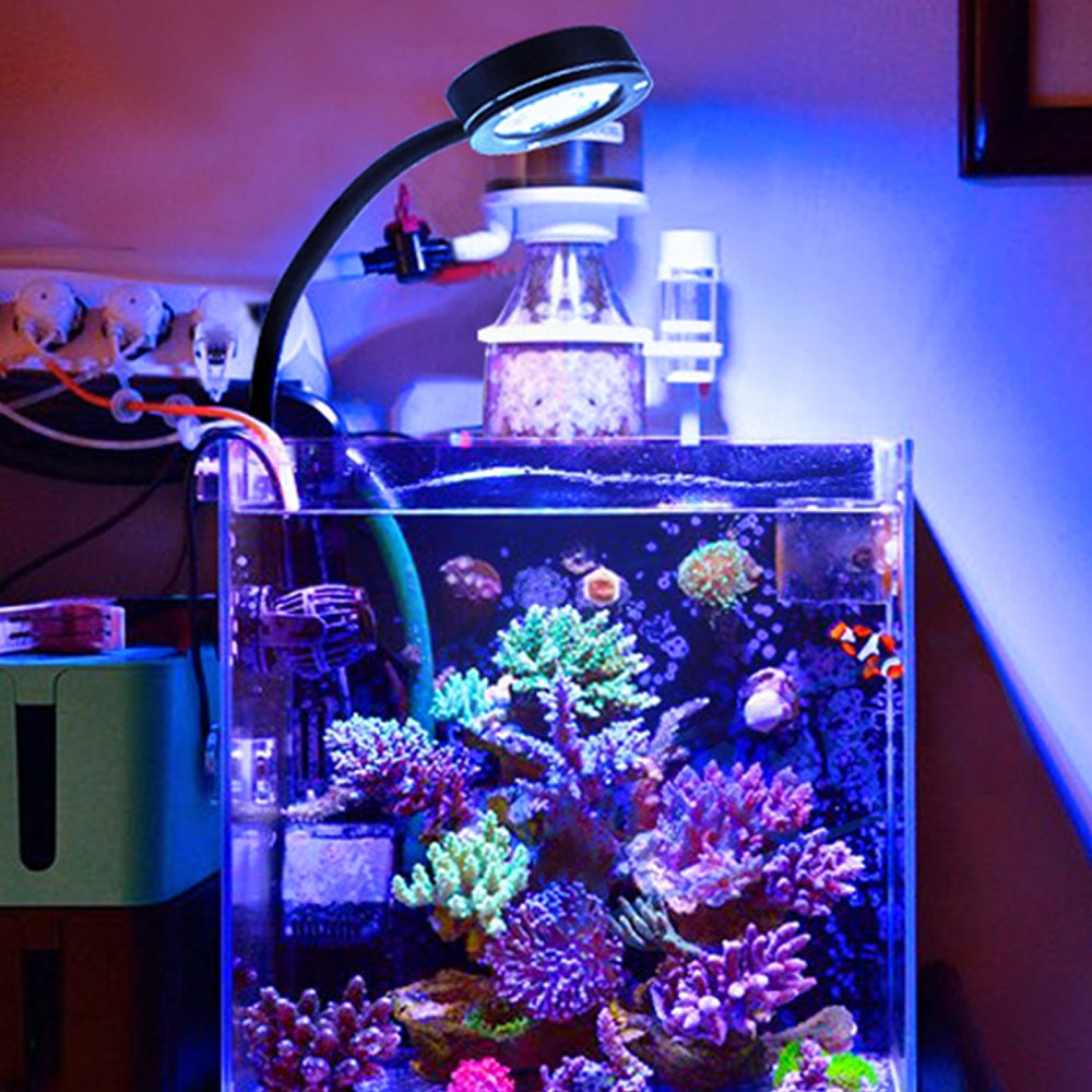 Marine tank led clearance lights