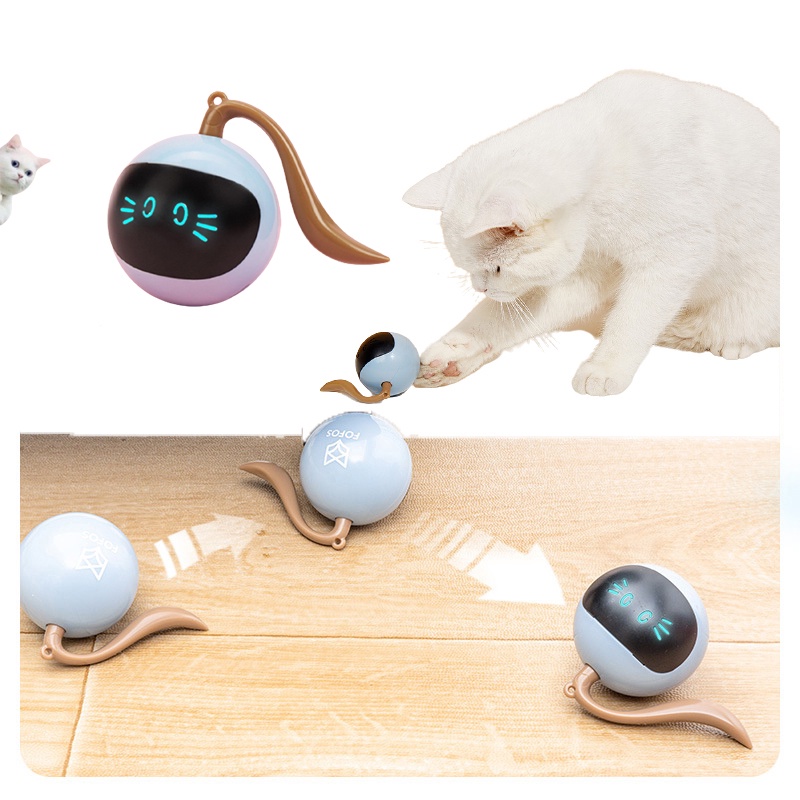 Cat toys hot sale shopee